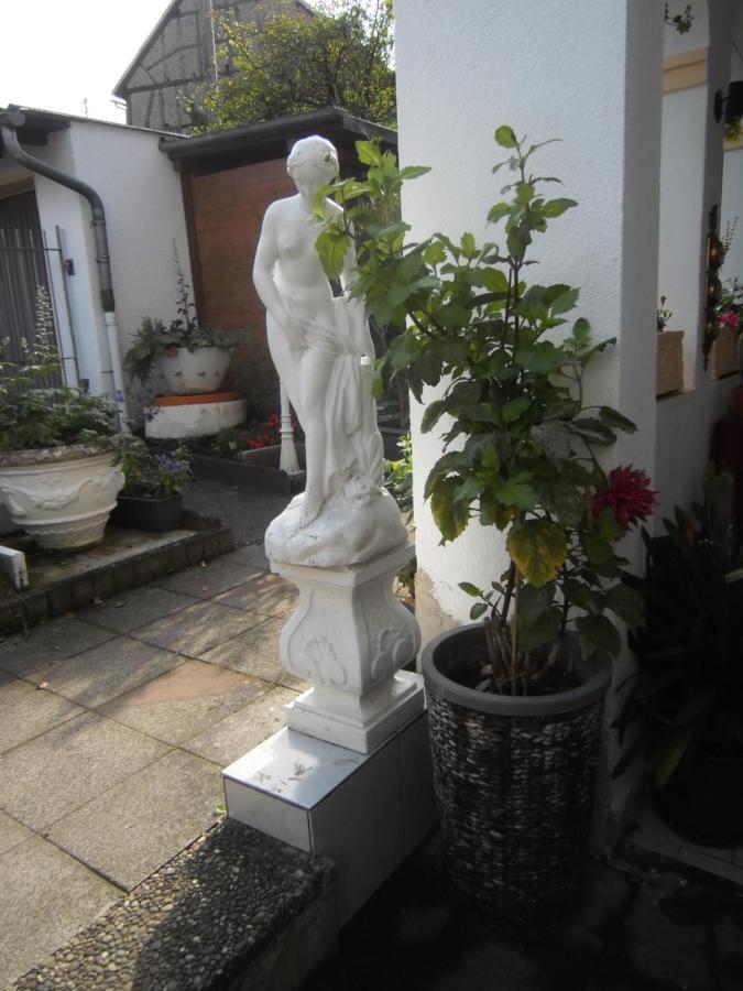 Dach-Studio-Runkel Schadecker Strasse 6 المظهر الخارجي الصورة